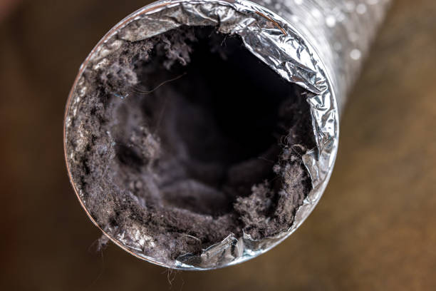 Best Local Air Duct Cleaning Services  in Green Tree, PA