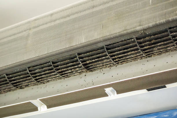 Best Emergency Air Duct Cleaning  in Green Tree, PA